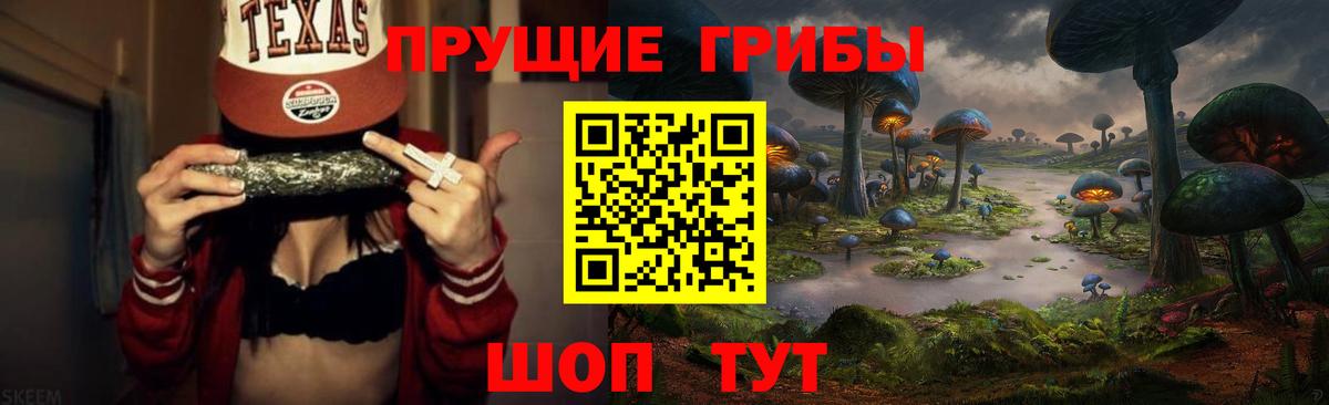 Псилоцибиновые грибы GOLDEN TEACHER  Вход с VPN  хочу наркоту  Нерюнгри 